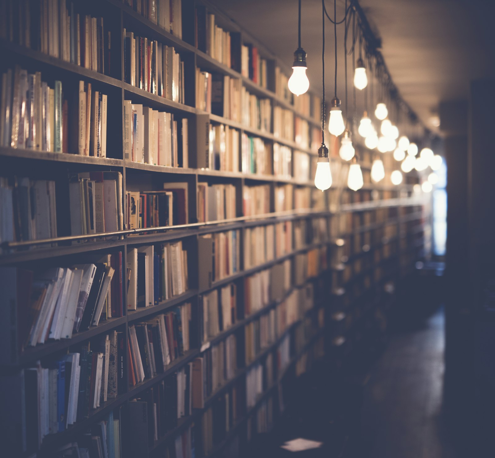 A warm, light-filled library — a space for study and research